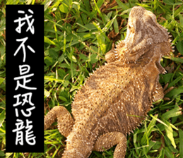 Happy Holidays! sticker #14251577