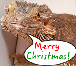 Happy Holidays! sticker #14251578