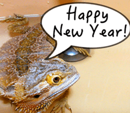 Happy Holidays! sticker #14251579