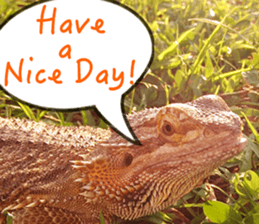 Happy Holidays! sticker #14251581