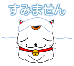 Cat coming carrying happiness.(winter) sticker #14251601