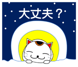 Cat coming carrying happiness.(winter) sticker #14251605