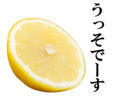 Live photo Lemon. sticker #14251730