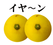 Live photo Lemon. sticker #14251731