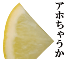 Live photo Lemon. sticker #14251753
