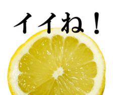 Live photo Lemon. sticker #14251759