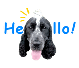 English Cocker Spaniel "NEIL" likes FUN! sticker #14251982