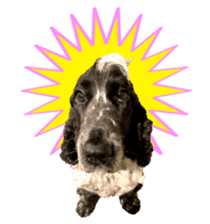 English Cocker Spaniel "NEIL" likes FUN! sticker #14251989