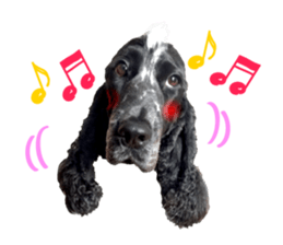 English Cocker Spaniel "NEIL" likes FUN! sticker #14251991