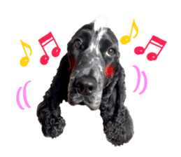 English Cocker Spaniel "NEIL" likes FUN! sticker #14251991