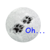 English Cocker Spaniel "NEIL" likes FUN! sticker #14251993