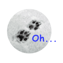 English Cocker Spaniel "NEIL" likes FUN! sticker #14251993