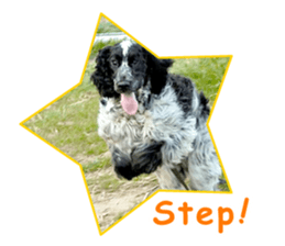 English Cocker Spaniel "NEIL" likes FUN! sticker #14251995