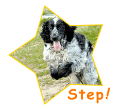 English Cocker Spaniel "NEIL" likes FUN! sticker #14251995