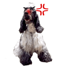 English Cocker Spaniel "NEIL" likes FUN! sticker #14251998