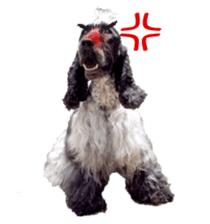 English Cocker Spaniel "NEIL" likes FUN! sticker #14251998