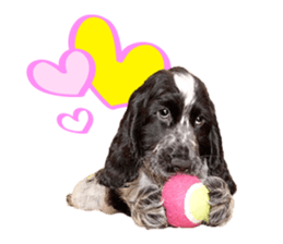 English Cocker Spaniel "NEIL" likes FUN! sticker #14252000