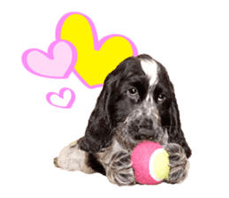 English Cocker Spaniel "NEIL" likes FUN! sticker #14252000