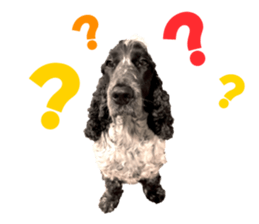 English Cocker Spaniel "NEIL" likes FUN! sticker #14252001