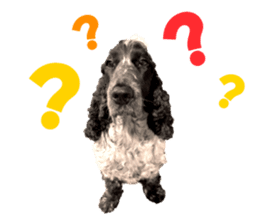 English Cocker Spaniel "NEIL" likes FUN! sticker #14252001