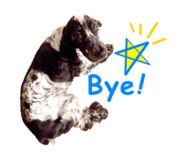 English Cocker Spaniel "NEIL" likes FUN! sticker #14252003