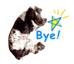 English Cocker Spaniel "NEIL" likes FUN! sticker #14252003