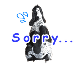 English Cocker Spaniel "NEIL" likes FUN! sticker #14252004