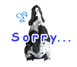 English Cocker Spaniel "NEIL" likes FUN! sticker #14252004