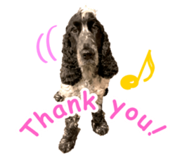 English Cocker Spaniel "NEIL" likes FUN! sticker #14252005