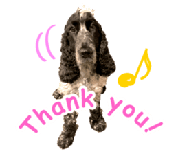 English Cocker Spaniel "NEIL" likes FUN! sticker #14252005