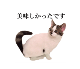 ramuchan 2 sticker #14252088