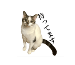 ramuchan 2 sticker #14252089