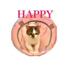 ramuchan 2 sticker #14252091