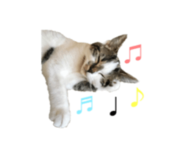 ramuchan 2 sticker #14252098