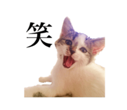 ramuchan 2 sticker #14252099