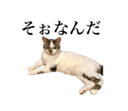 ramuchan 2 sticker #14252108