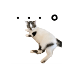 ramuchan 2 sticker #14252109