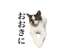 ramuchan 2 sticker #14252117