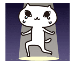 A weird cat with funny moves sticker #14252991