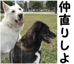 THE White Shepherd Dog! No,5 (P) sticker #14253144