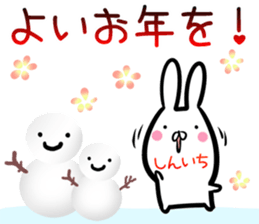 Shinichi Sticker! sticker #14253292