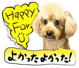 Dog Talk!!Dog Photos,English&Japanese sticker #14253808