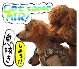 Dog Talk!!Dog Photos,English&Japanese sticker #14253811