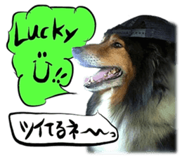 Dog Talk!!Dog Photos,English&Japanese sticker #14253828