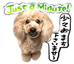 Dog Talk!!Dog Photos,English&Japanese sticker #14253830