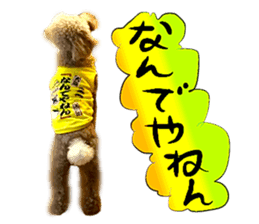 Dog Talk!!with friends, Photos,Japanese sticker #14254369