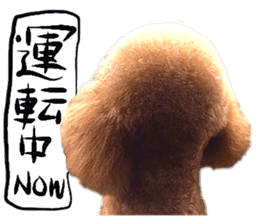 Dog Talk!!with friends, Photos,Japanese sticker #14254375