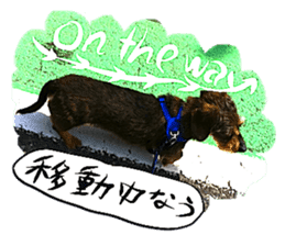 Dog Talk!!with friends, Photos,Japanese sticker #14254376