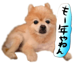 Dog Talk!!with friends, Photos,Japanese sticker #14254378