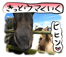Dog Talk!!with friends, Photos,Japanese sticker #14254384